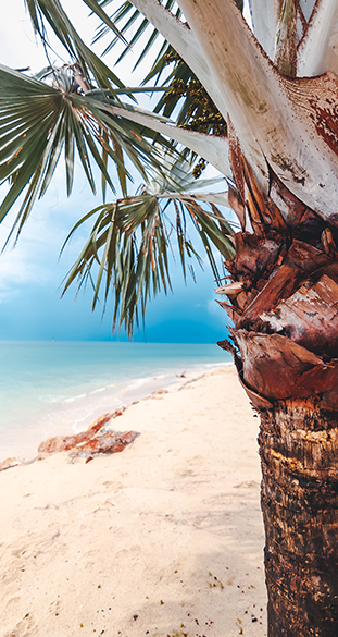 La sélection stratégique des zones géographiques 1